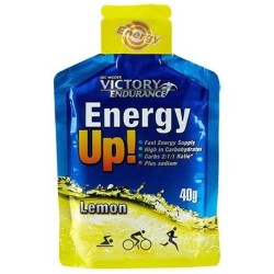 VICTORY ENDURANCE ENERGY UP...