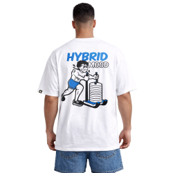 QUAMTRAX HYBRID MOOD