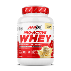 AMIX PRO-ACTIVE WHEY 1000 GR